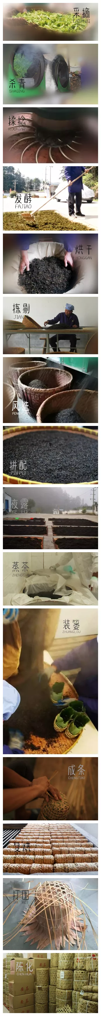 安茶生产工艺
